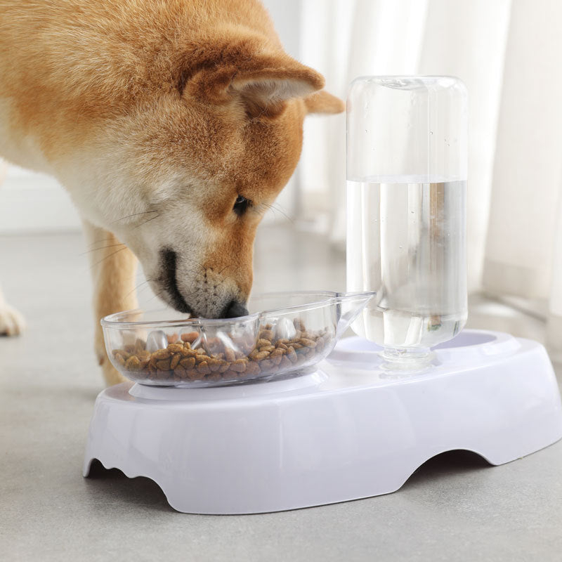 Transparent Plastic Pet Feeding Bowl - The Perfect Choice for Your Furry Friend