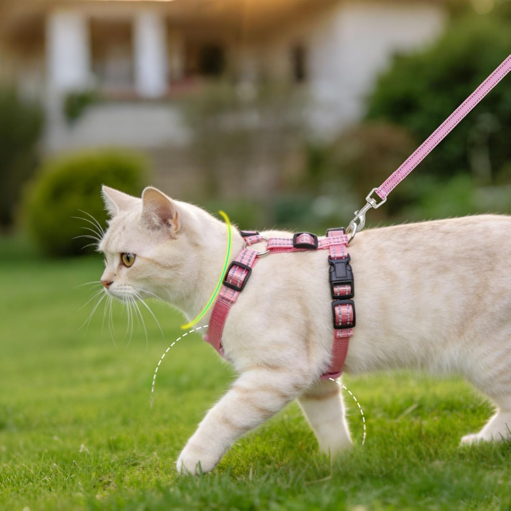 Pet Leashes