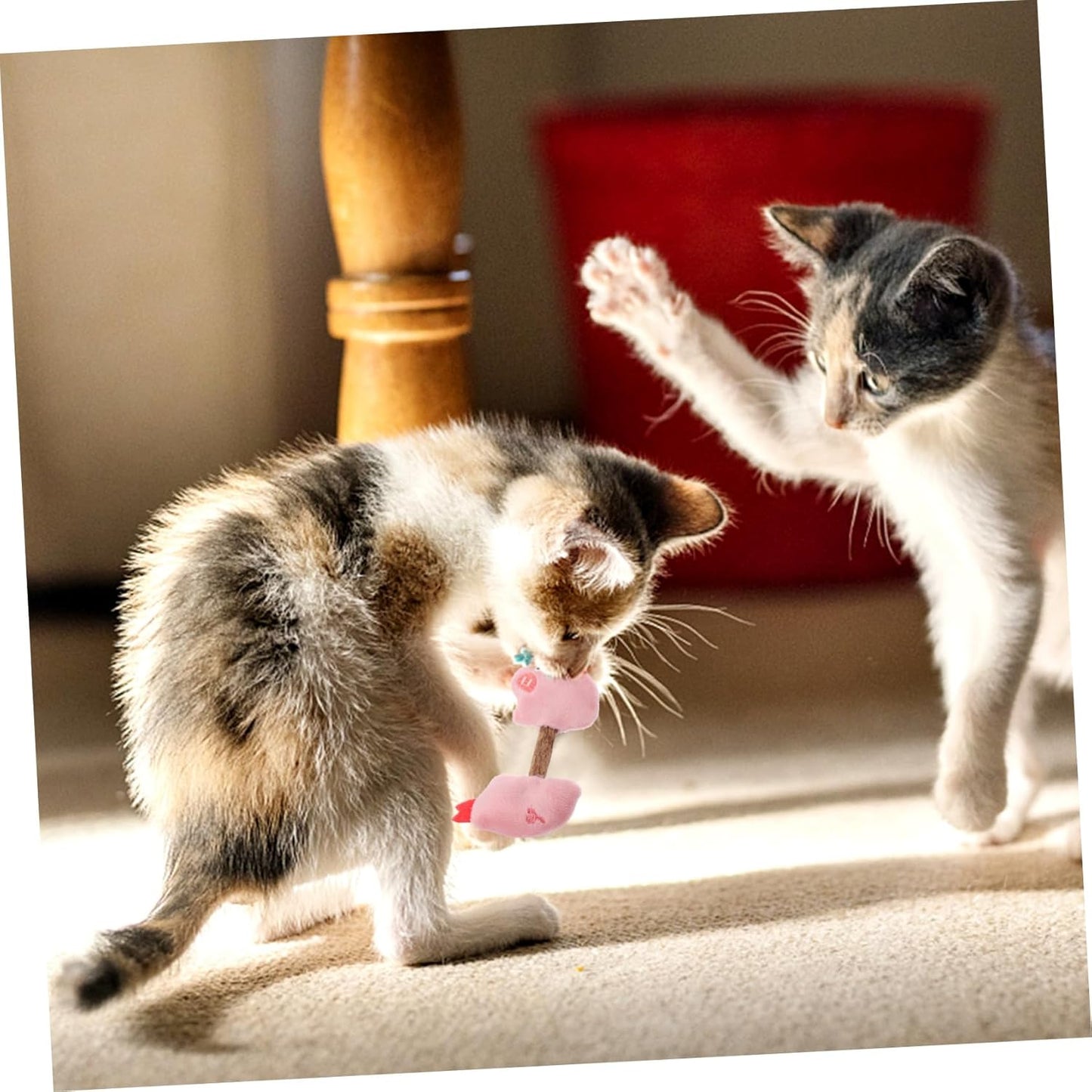 8ff8620fa5cbf7ca7fc7a28920dea8a5
